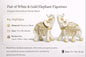 White & Gold Elephant Figurine Set – Premium Resin Decorative Showpiece for Home Décor, Office Desk & Gifting | Symbol of Good Luck & Prosperity #1257