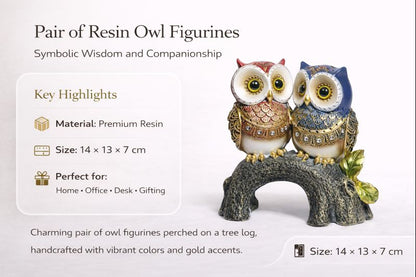 Pair of Premium Resin Owl Figurines – Decorative Twin Owl Showpiece for Home & Office Décor #3000