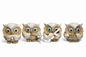 Decorative Musical Owl Showpiece Set of 4 | Premium Resin Owl Figurines for Home & Office Décor  #3021